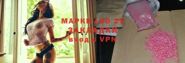 ешки Болотное