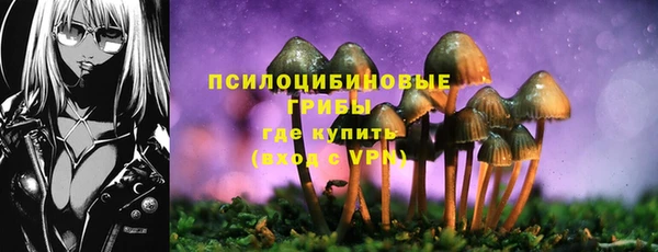 герыч Алзамай