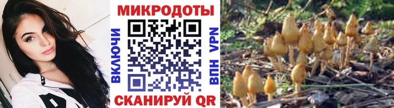 даркнет сайт  Петровск  Галлюциногенные грибы GOLDEN TEACHER 